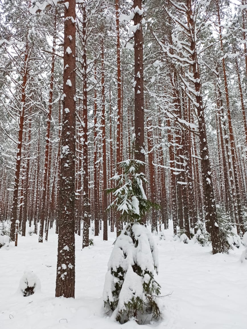 Фото Валдайская усадьба