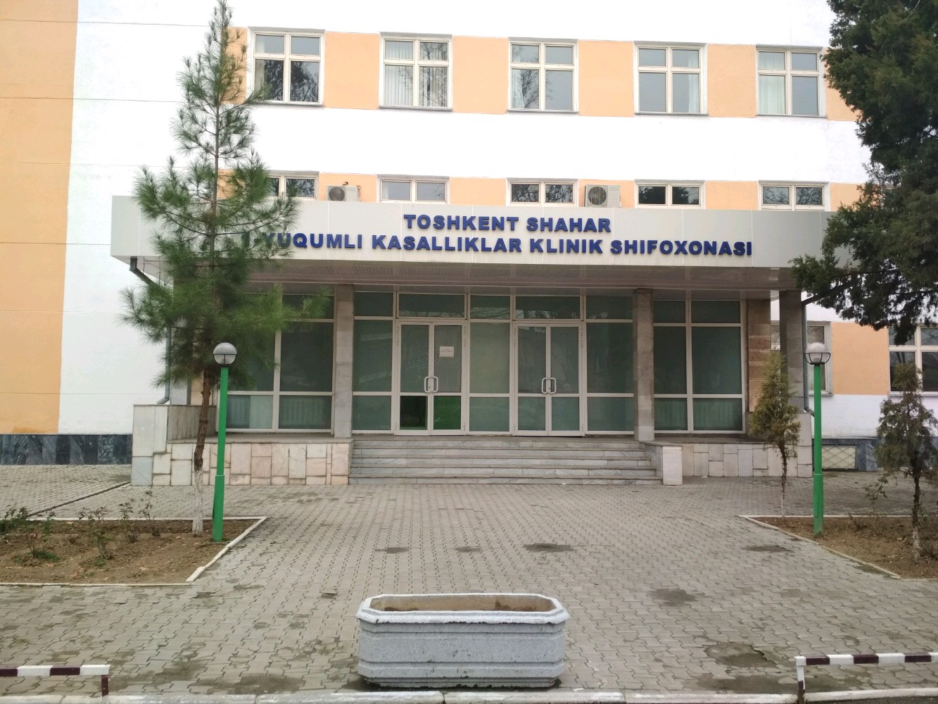 Katta labiya va klitoris fotosurati