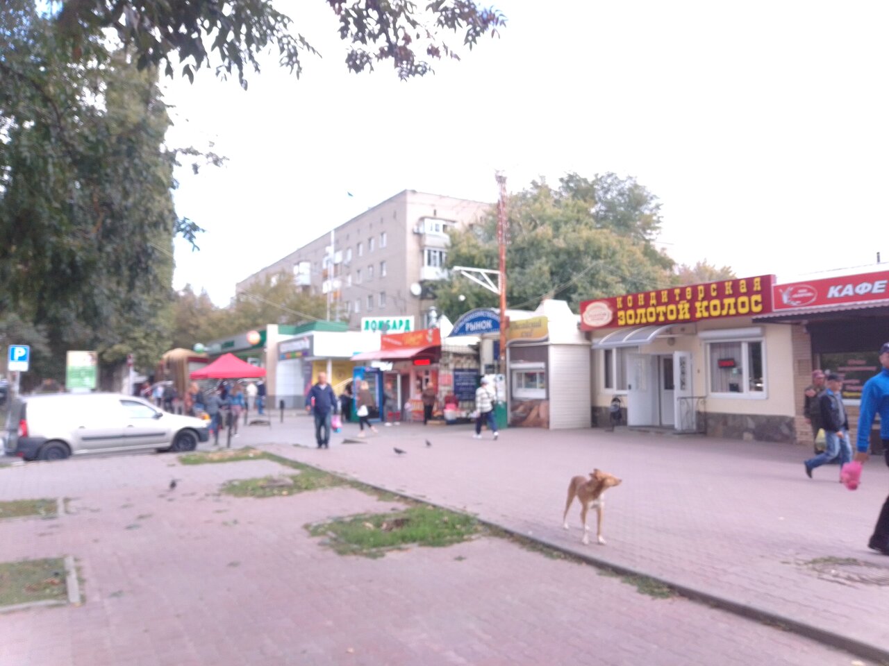 Карта стерлитамак колхозный рынок