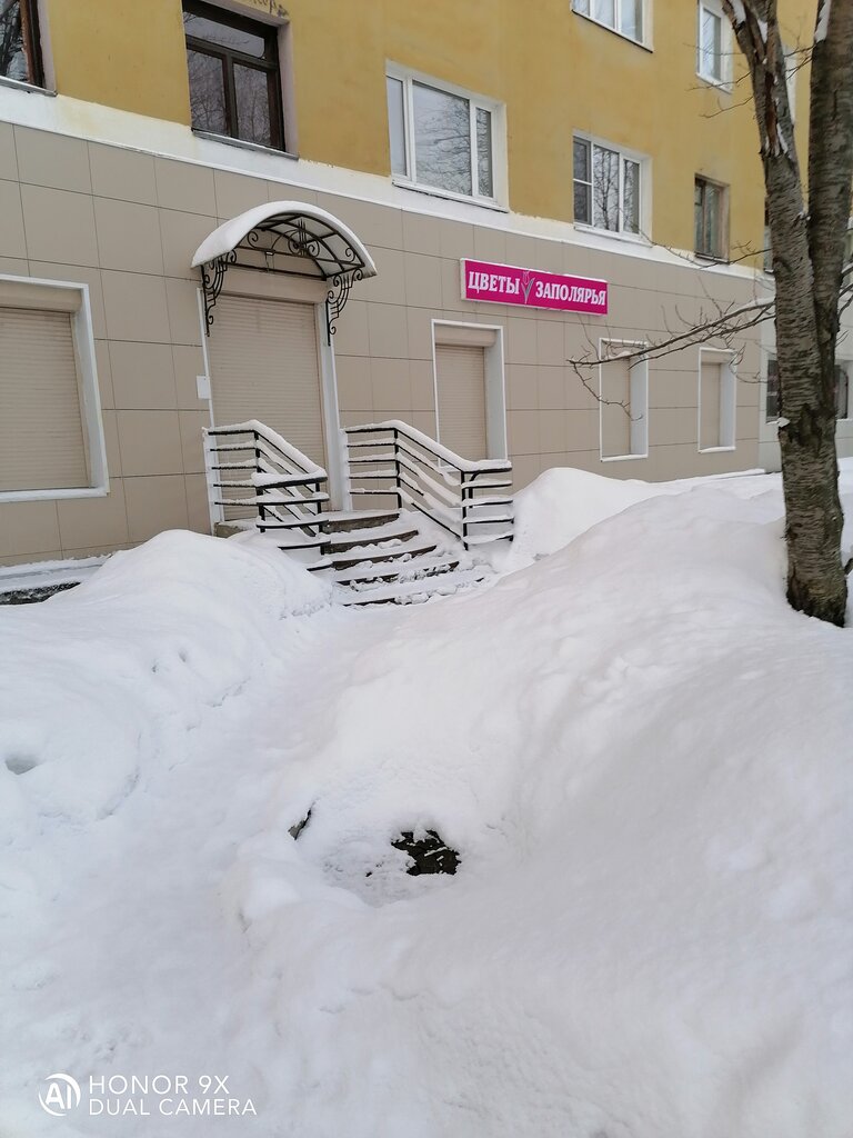 Цветы Заполярье Магазин