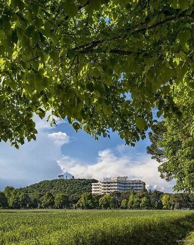 Гостиница Apollo Terme Hotel в Монтегротто-Терме