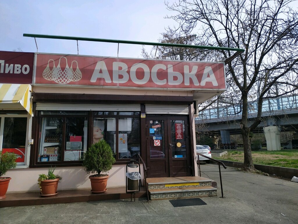 Grocery Avoska, Sochi, photo