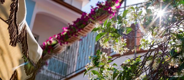 Фото Hotel Villa dei Fiori