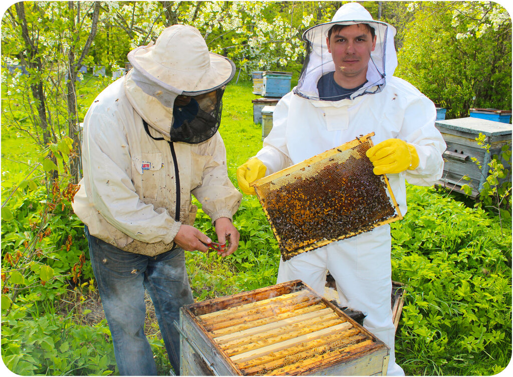 Магазин Пасека Рязань Официальный Сайт