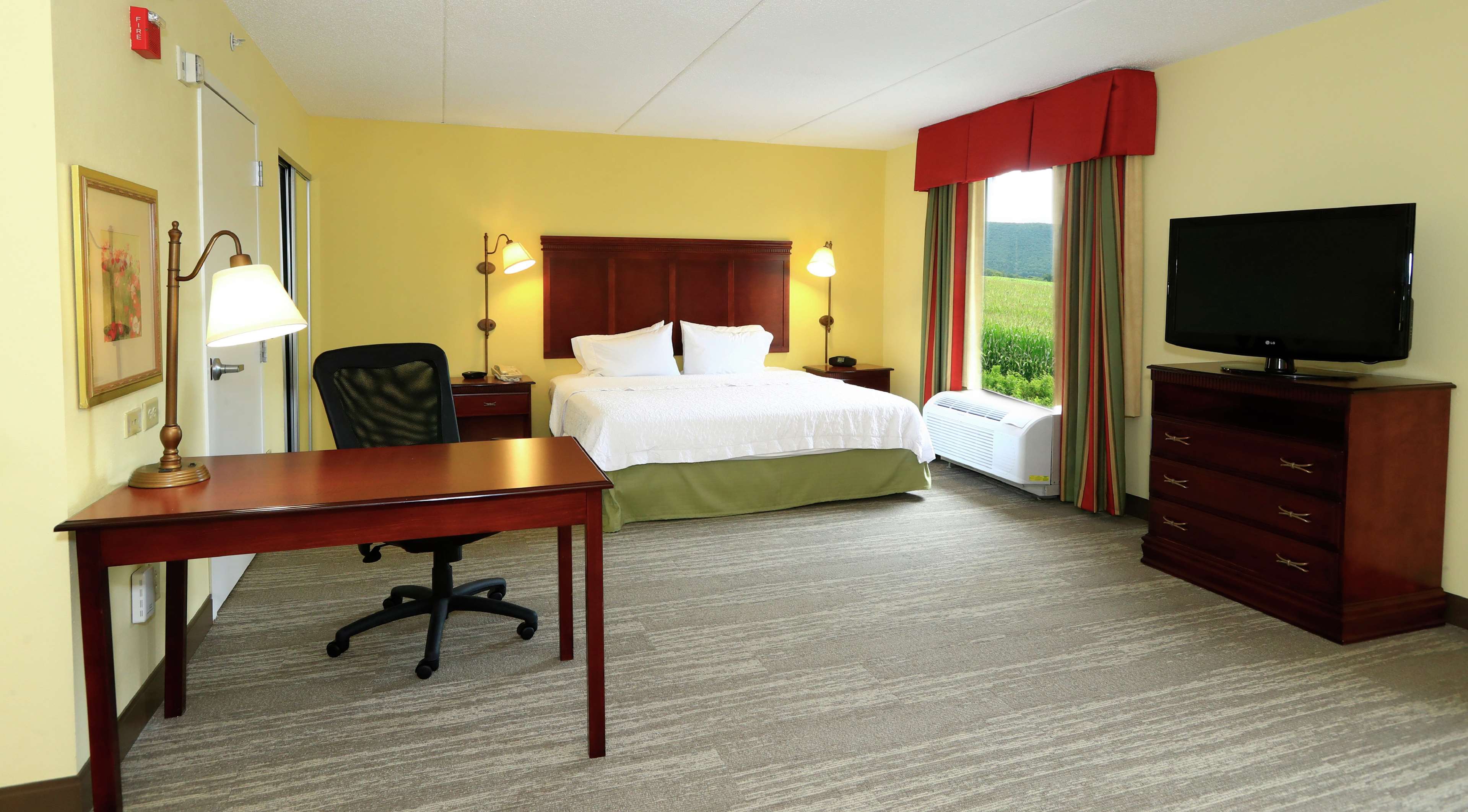 Фото Hampton Inn & Suites Lamar