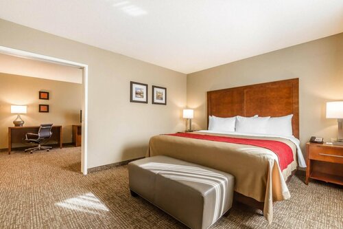 Гостиница Comfort Inn & Suites Rocklin - Roseville в Роклине