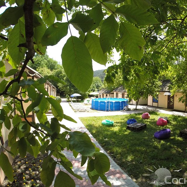 Фото Сосновый Бор