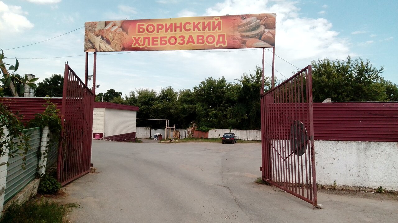 Липецкая область село боринское карта