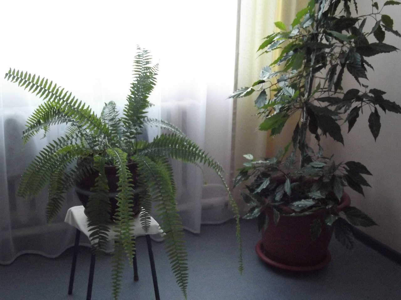 Фото Здоровье