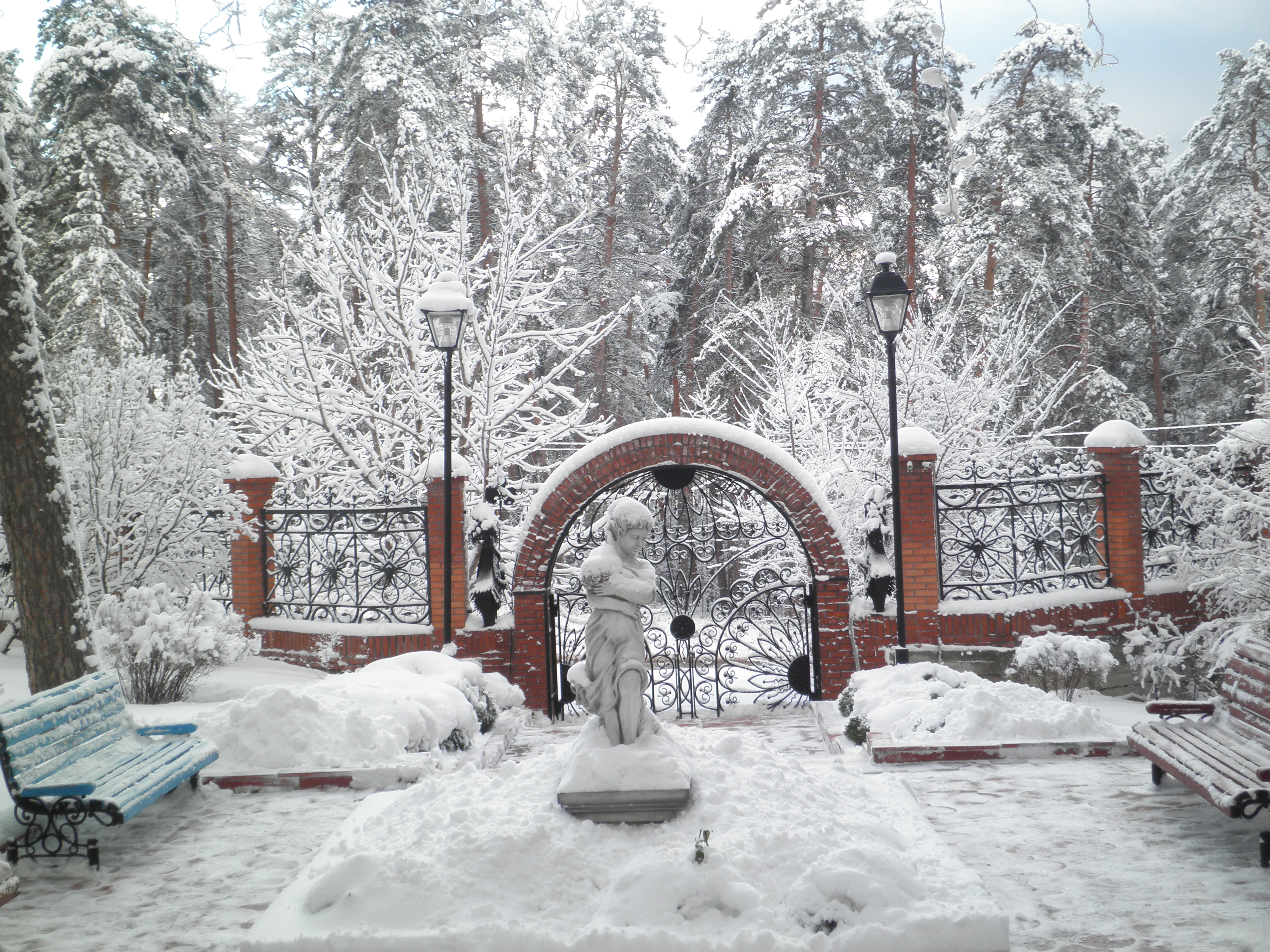 Фото Надежда