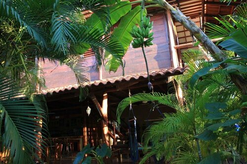 Гостиница Funky Monkey Lodge