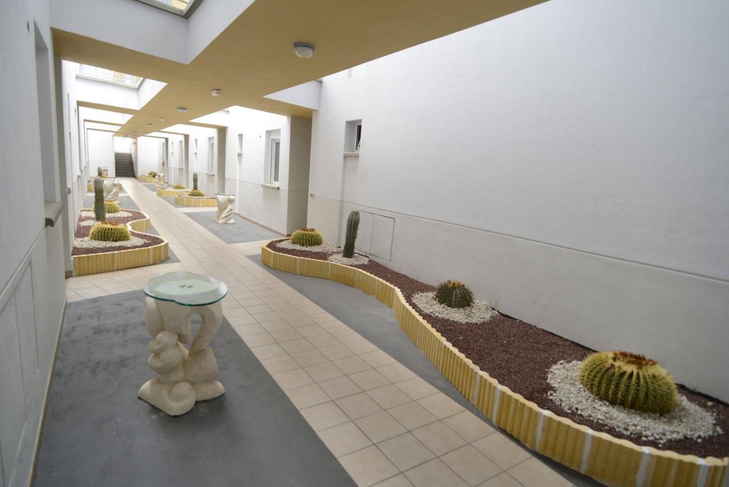 Фото Arena Suites