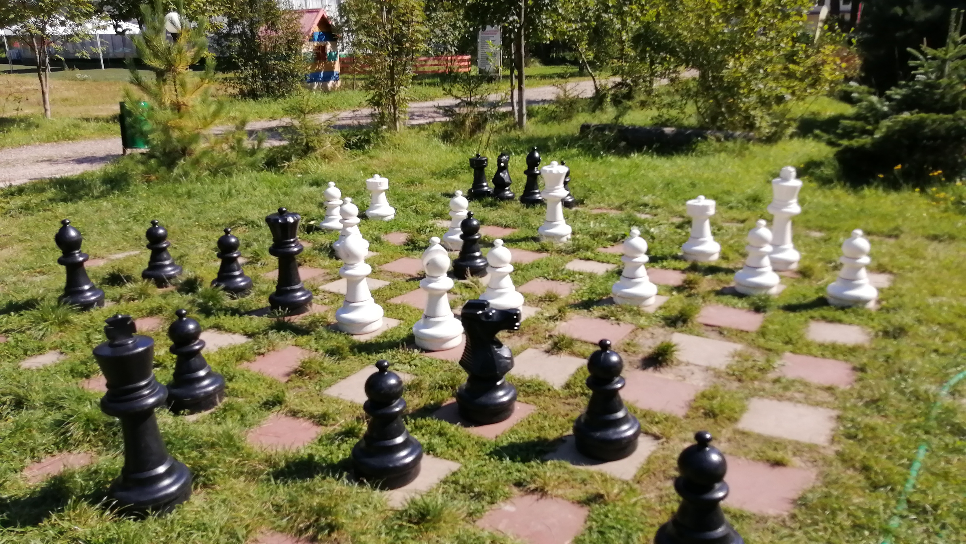 Фото Лебяжье