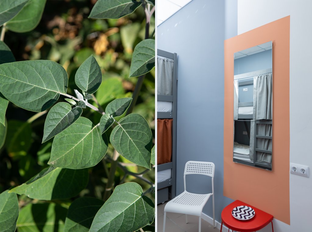 Фото Рус Севастополь