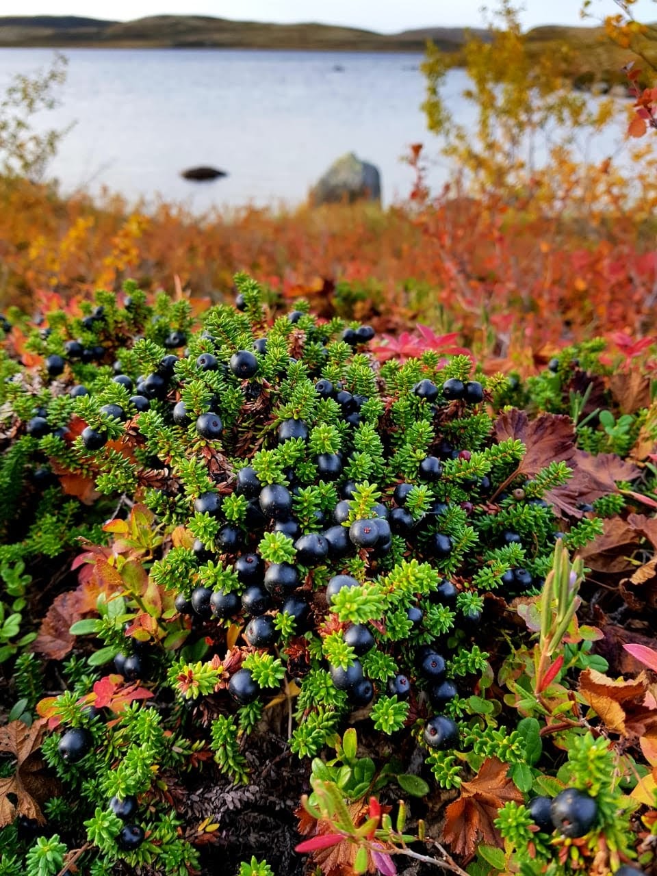Фото Сияние севера