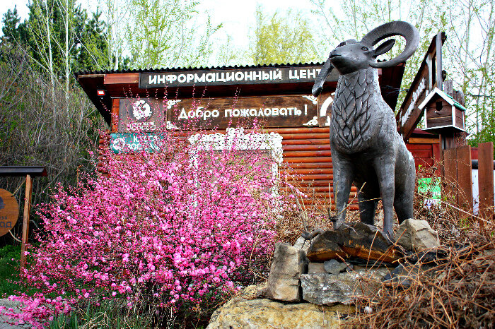 Hayvanat bahçeleri Irkutsk Zoo, Irkutsk, foto