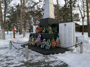 Воинам, погибшим в годы Великой Отечественной войны 1941-1945 гг. (Тюменская область, Викуловский район, село Озёрное, Приозёрная улица), памятник, мемориал в Тюменской области