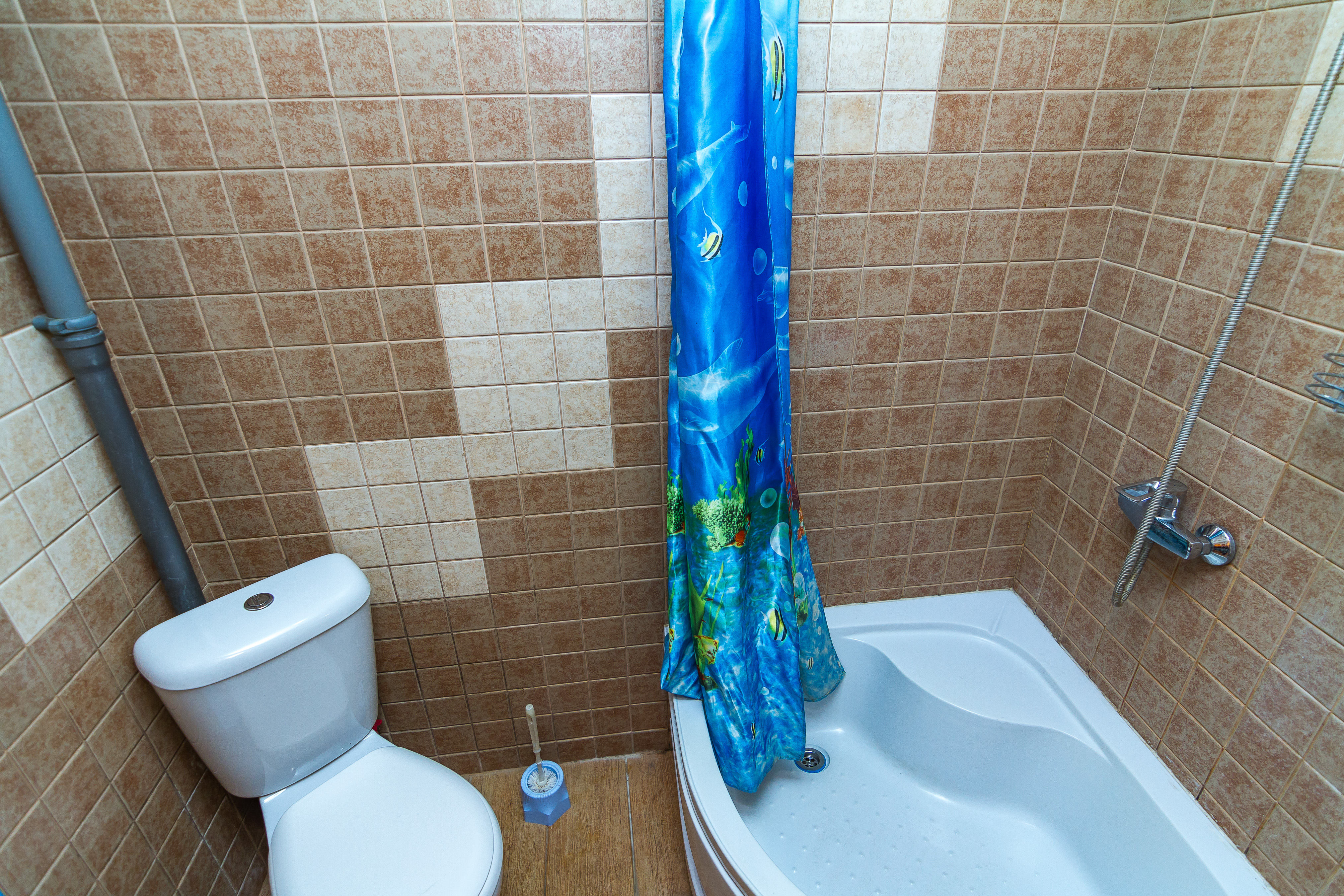 Фото Гостевой дом Аруна