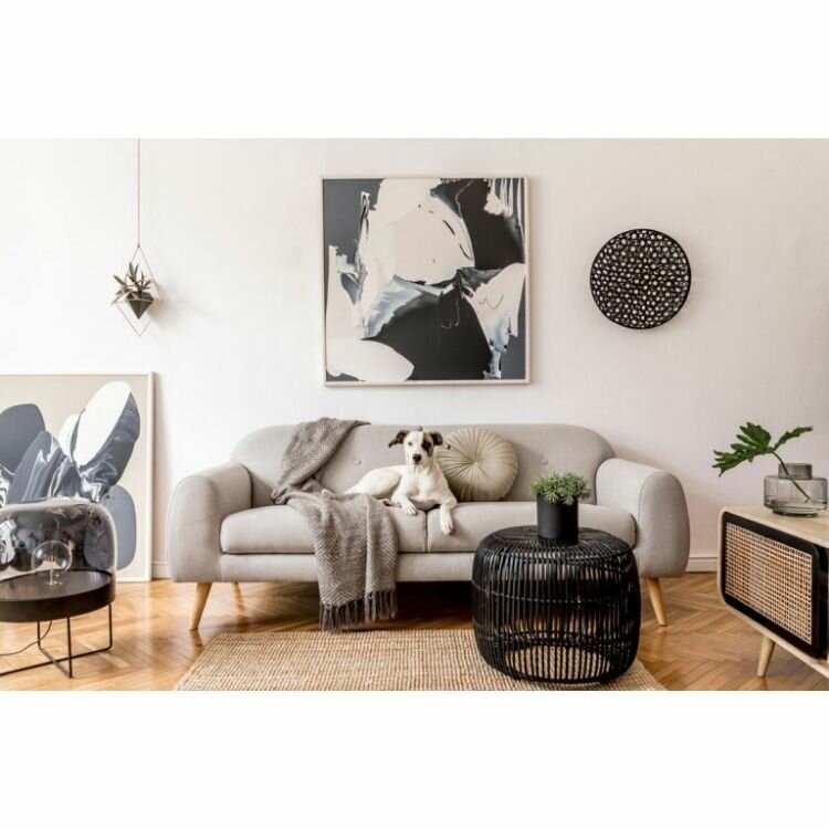 Cleaning services Timbrit - Servicios Profesionales Para Hogares y Empresas, Bogota, photo