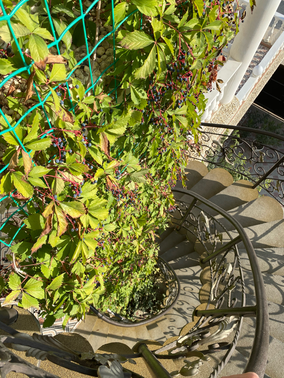 Фото Радуга