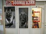 Zooмаркет (Черноморская ул., 13, Гомель), зоомагазин в Гомеле