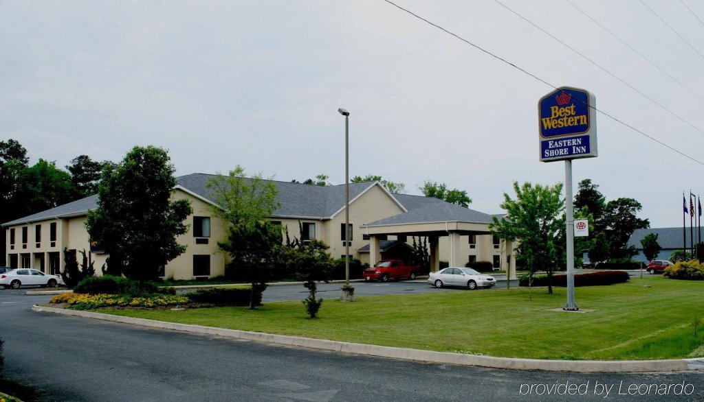 Фото Quality Inn & Suites