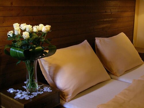 Гостиница Hotel Sharingham в Брно