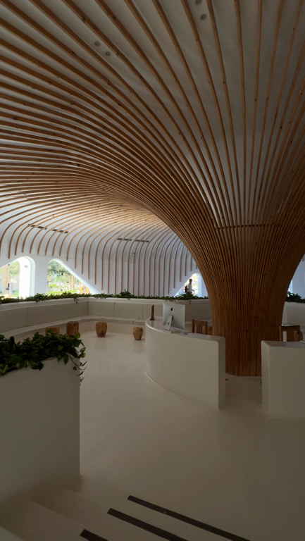 Фото Meraki Resort Adults Only