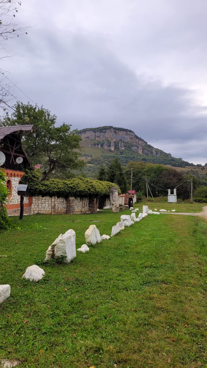 Фото Снежный Барс