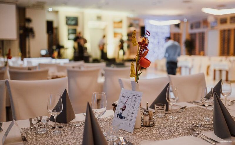 Фото Hotel Galaksija Trebnje