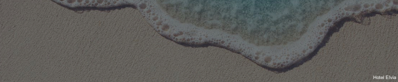 Фото Hotel Elvia