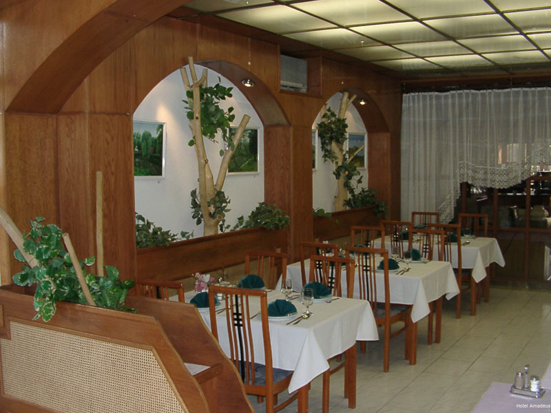 Фото Hotel Amadeus