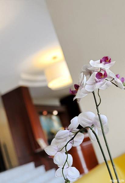 Фото Hotel Life