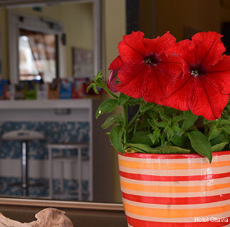 Фото Hotel Ottavia