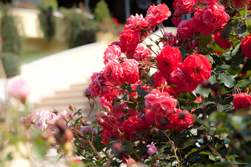 Фото L'Isola di Aurora