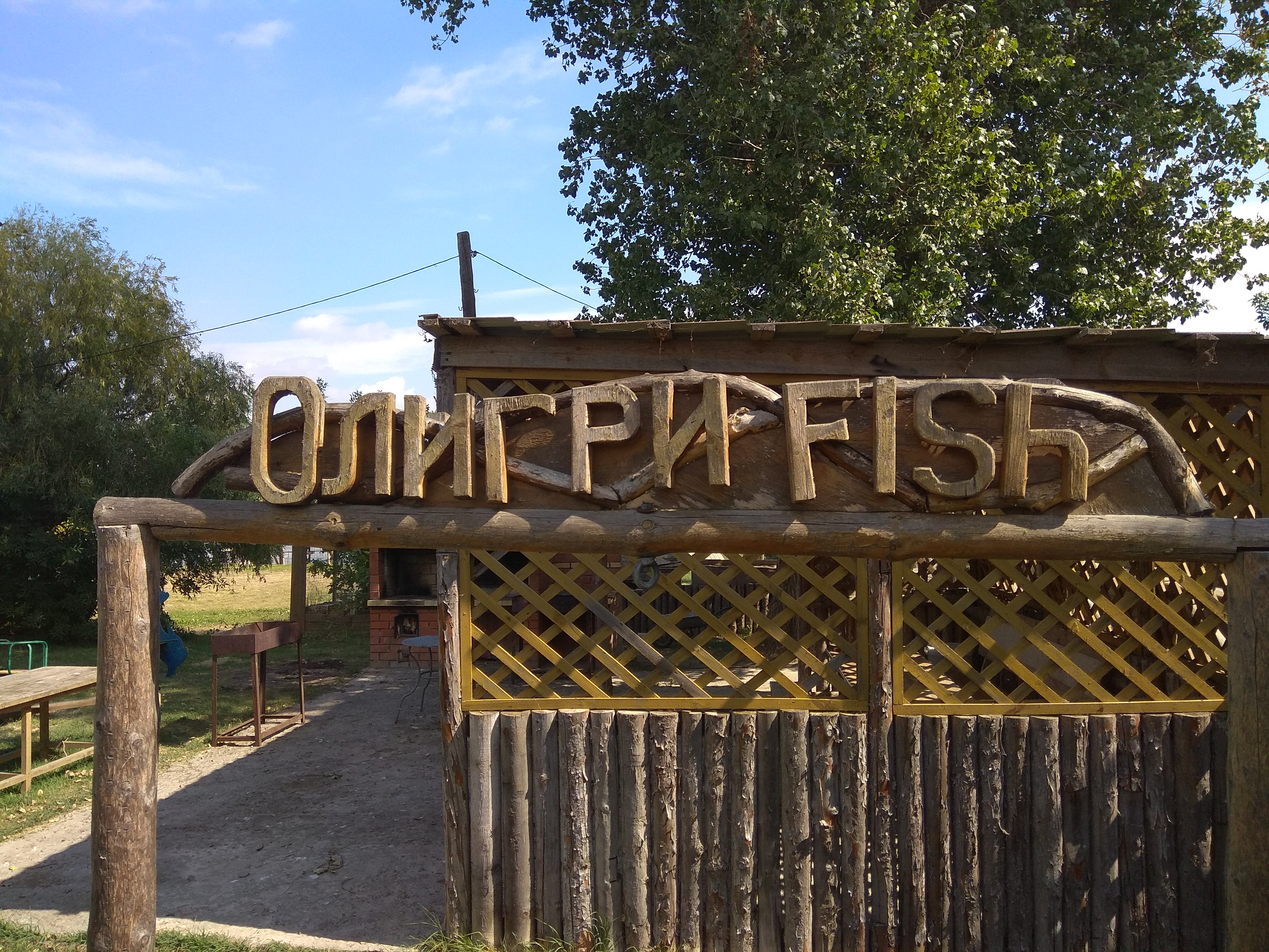 Фото Олигри Fish