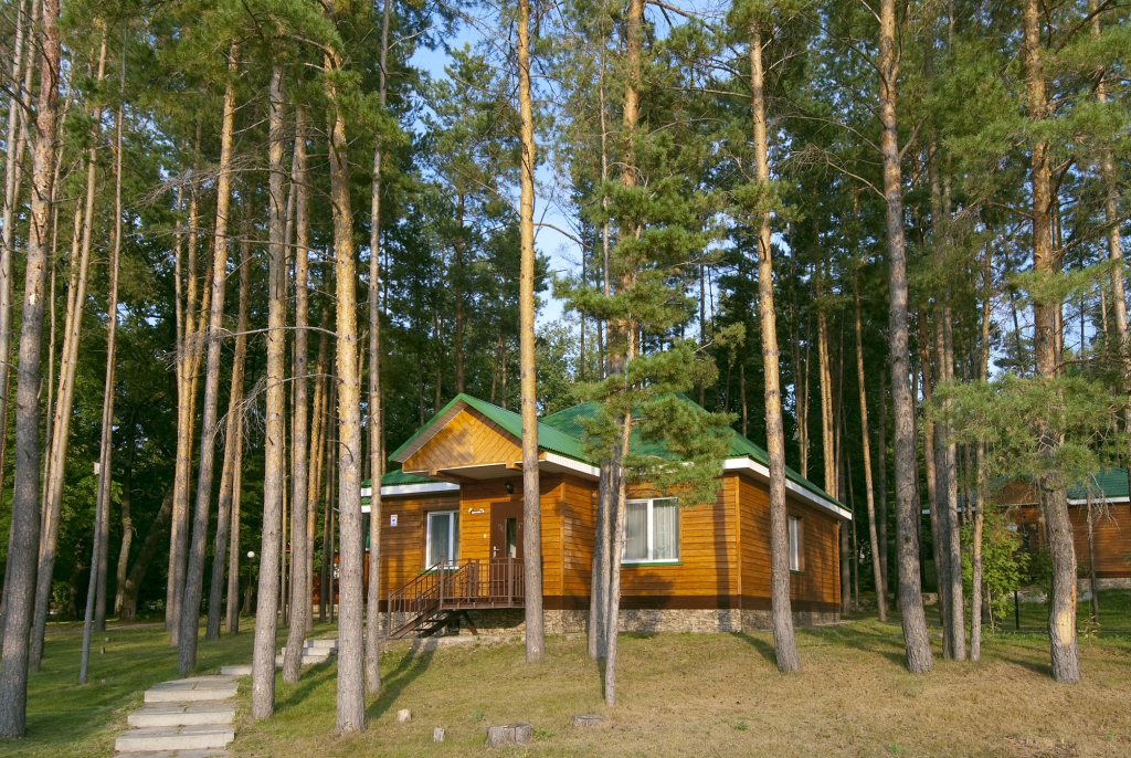 Фото Лесной