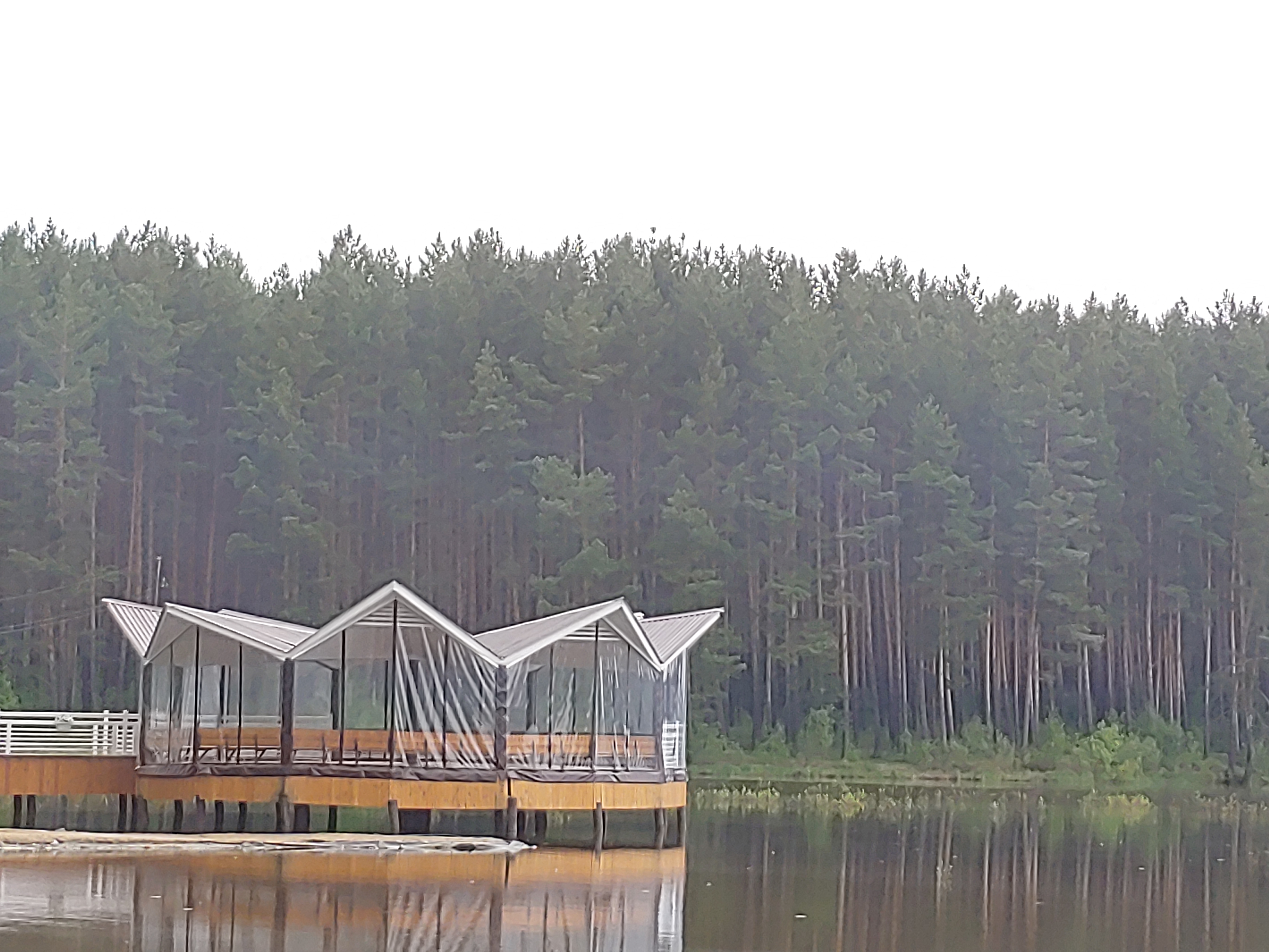 Фото Светофор