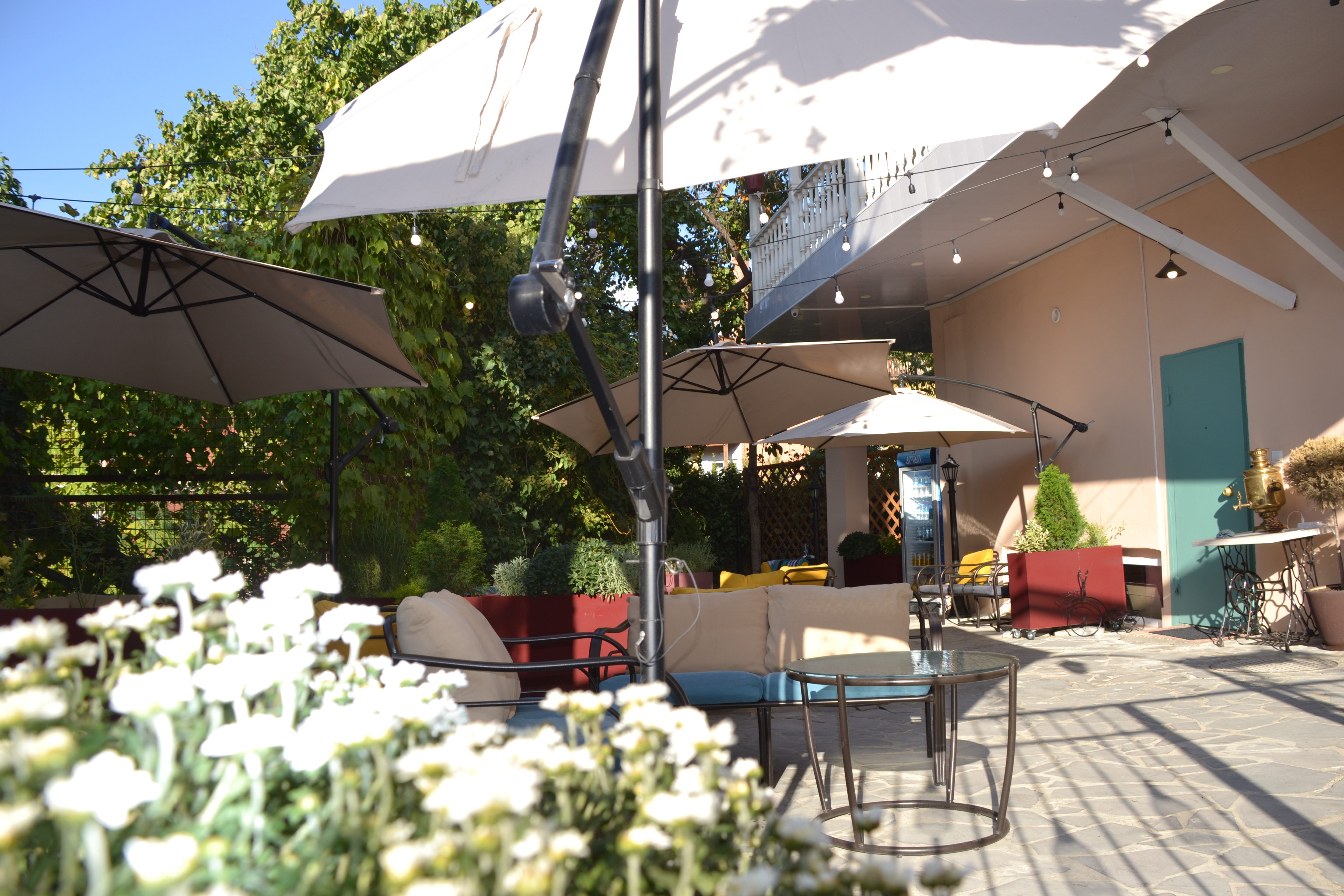 Фото Гвино Минда