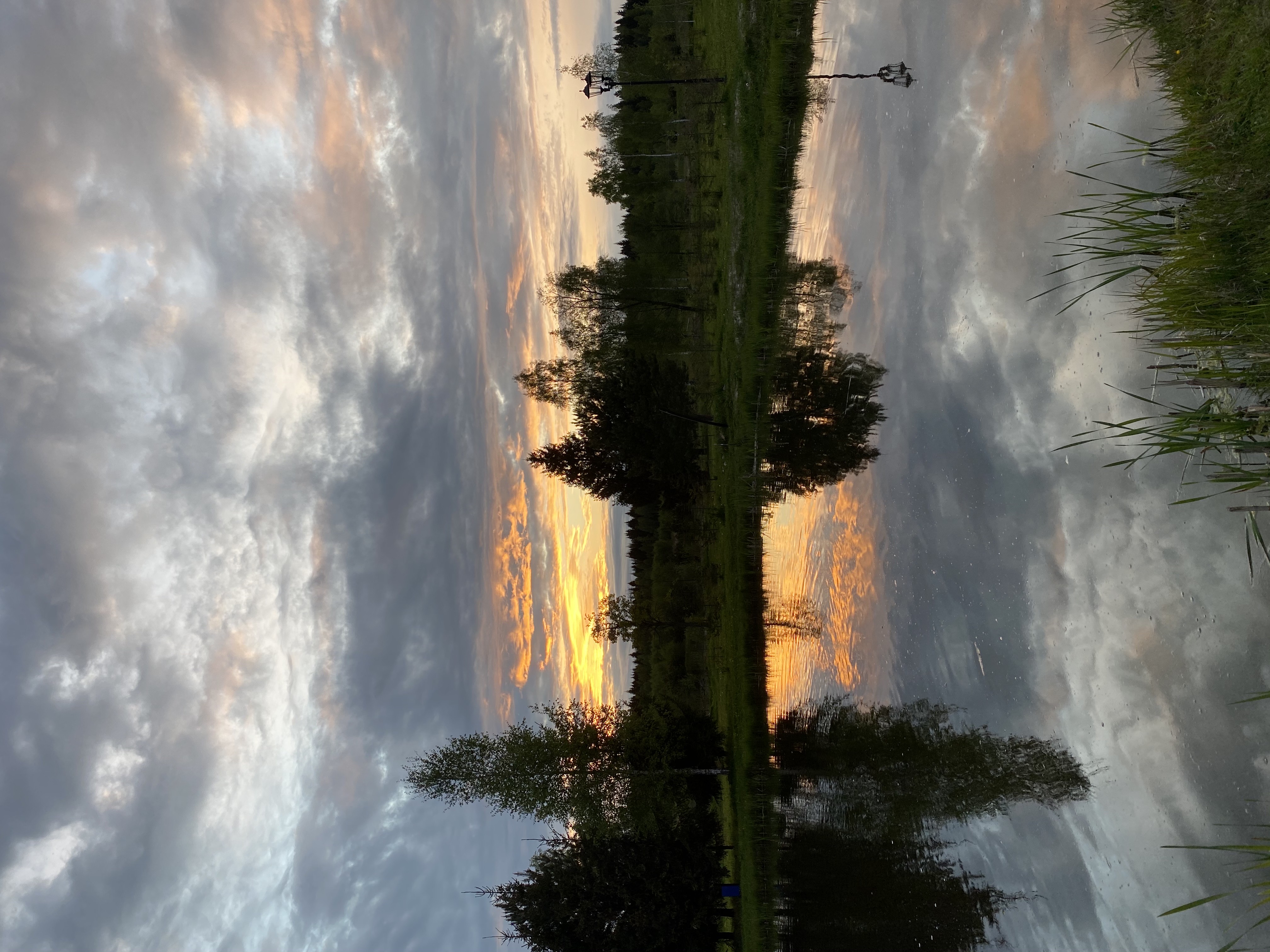 Фото Новинки Парк