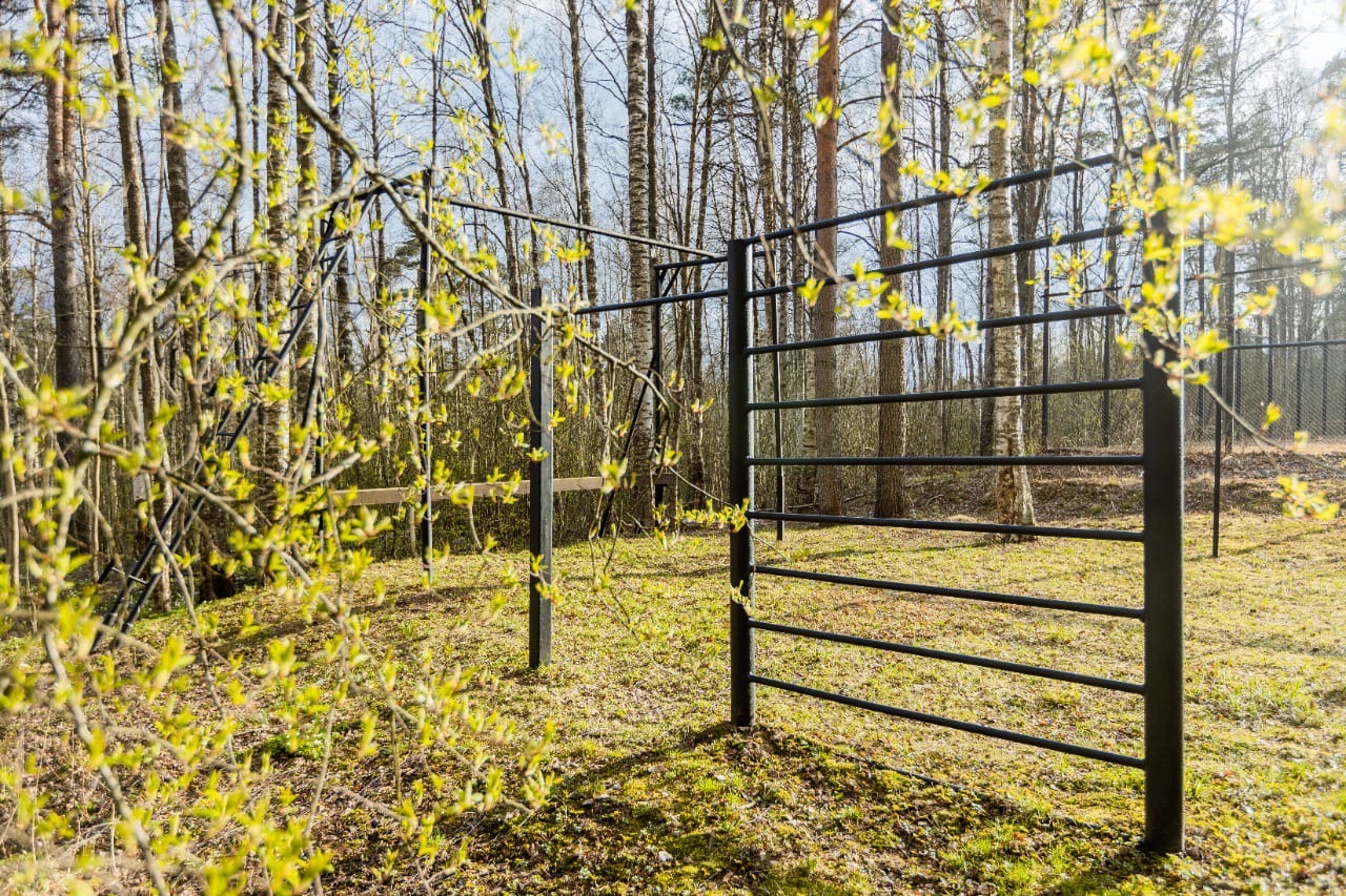 Фото Добрый Лось