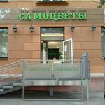 Самоцветы (ул. Цвиллинга, 44), ювелирный магазин в Челябинске