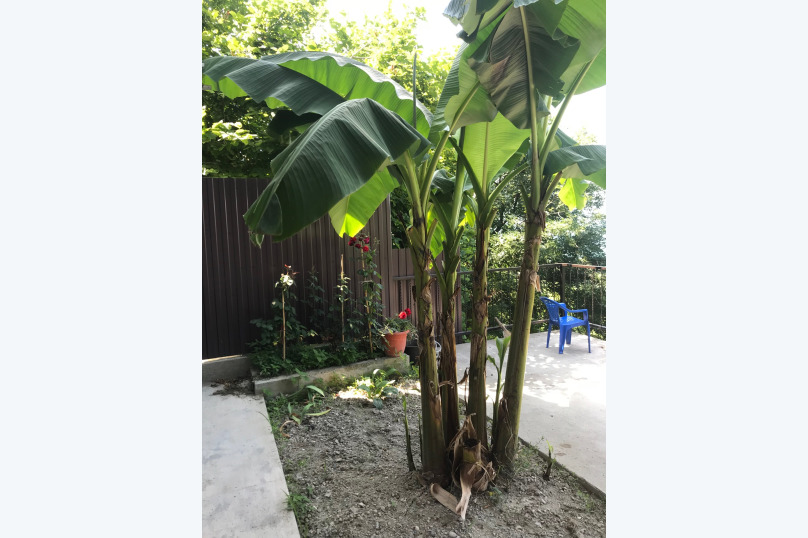 Фото Евгения