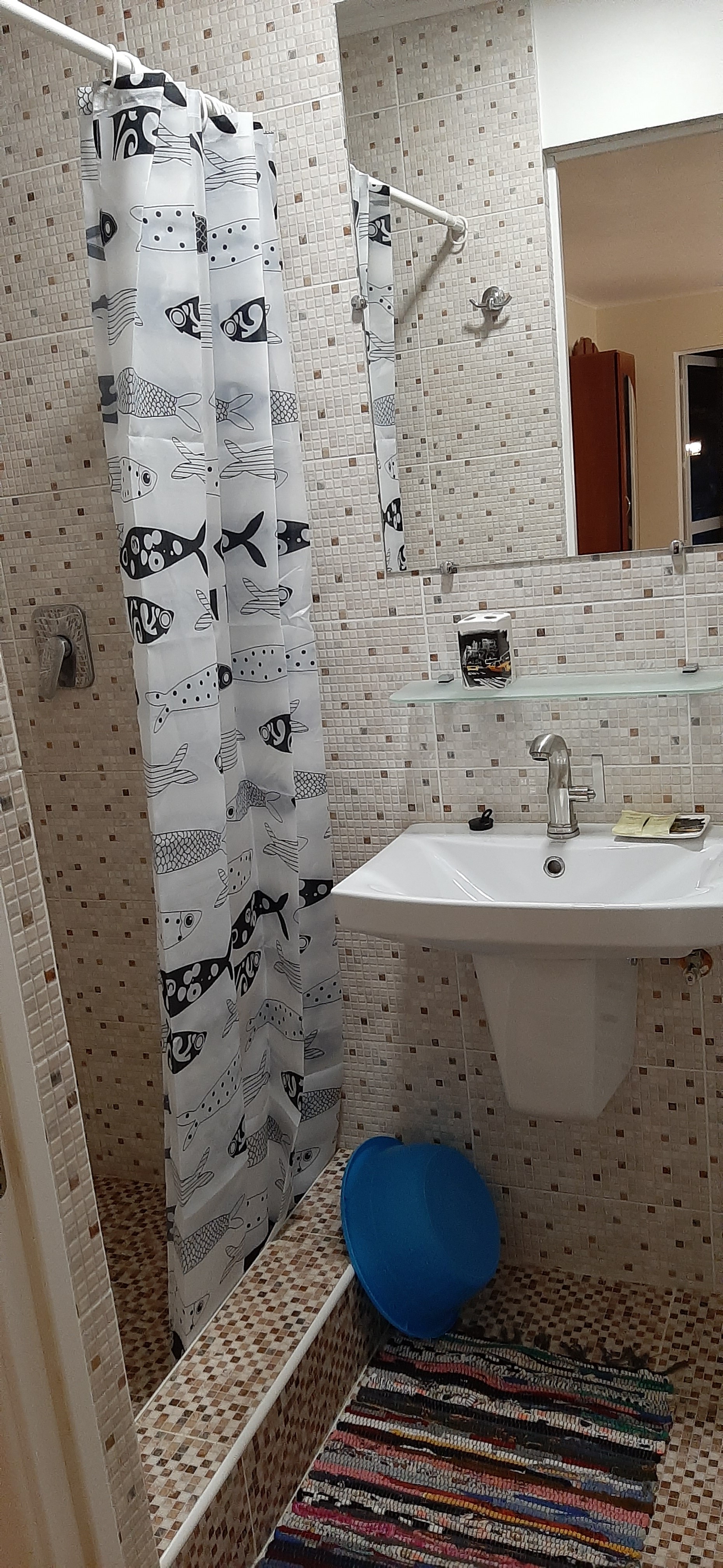 Фото Кактус