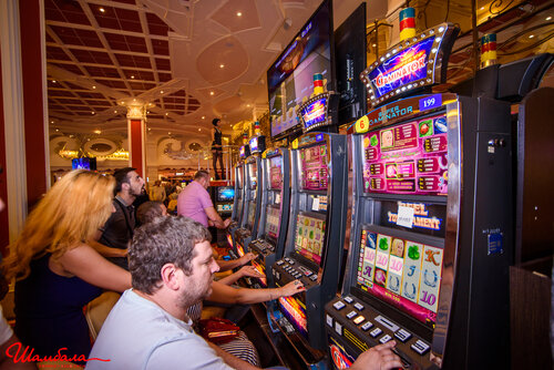 Casino, gambling house Shambala, Artem, photo