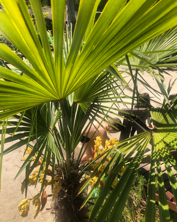 Фото Лесное царство