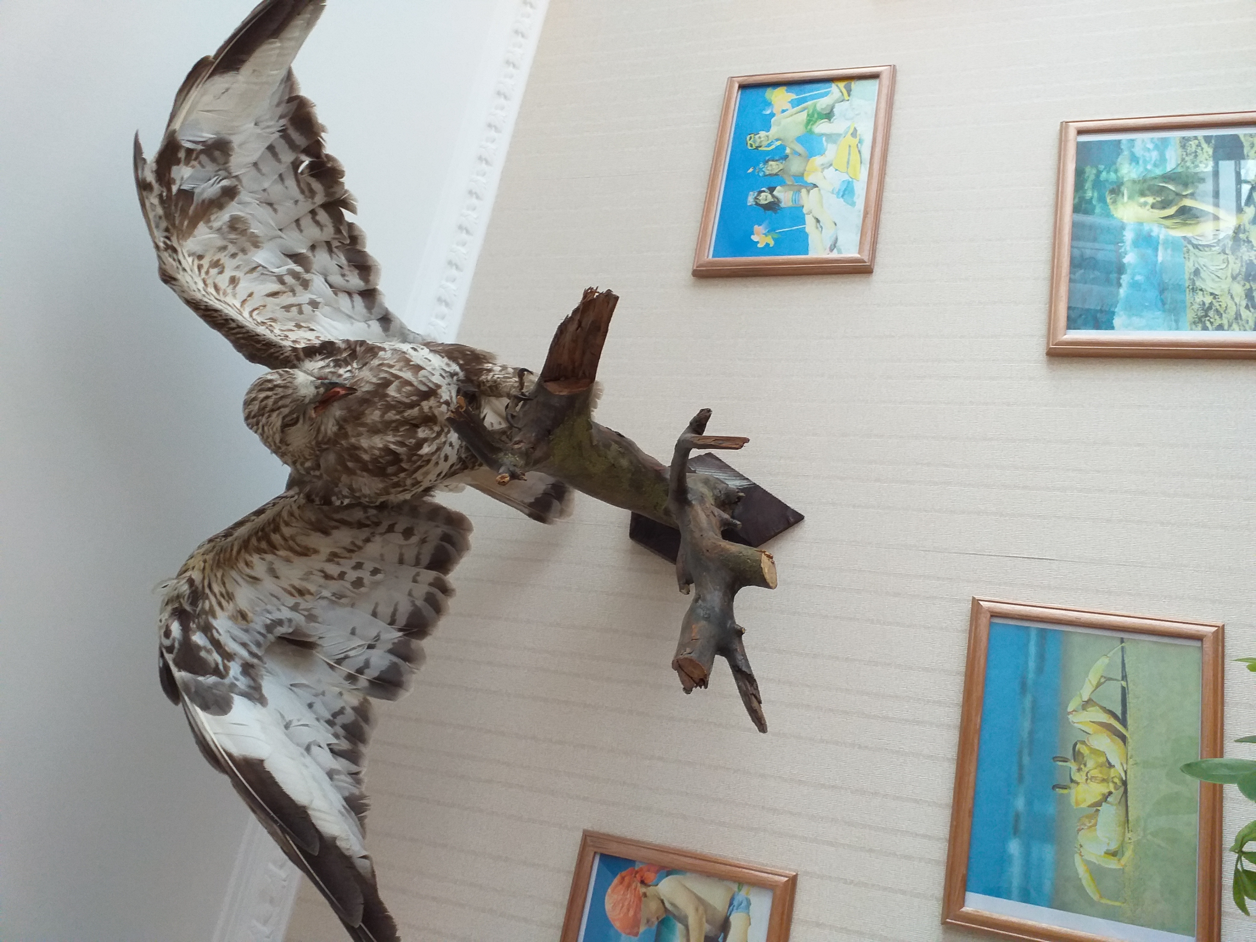 Фото Регион Море