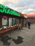 Karamel (Lyotchika Babushkina Street, 30с1), food and lunch delivery