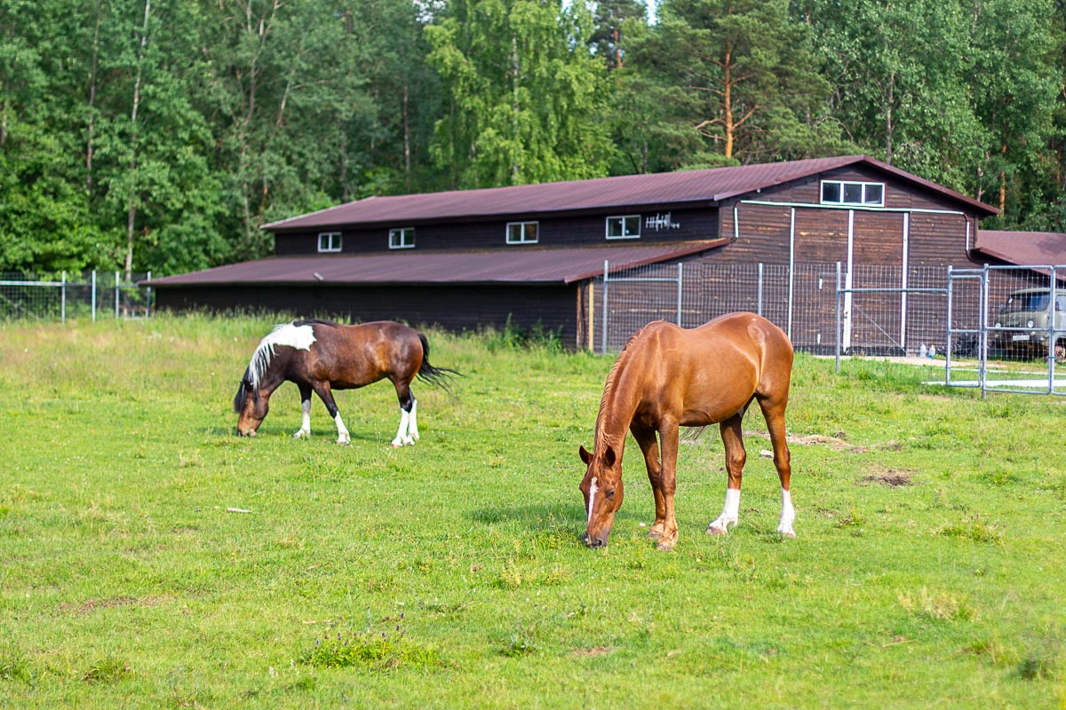 Фото Edimonovo Village