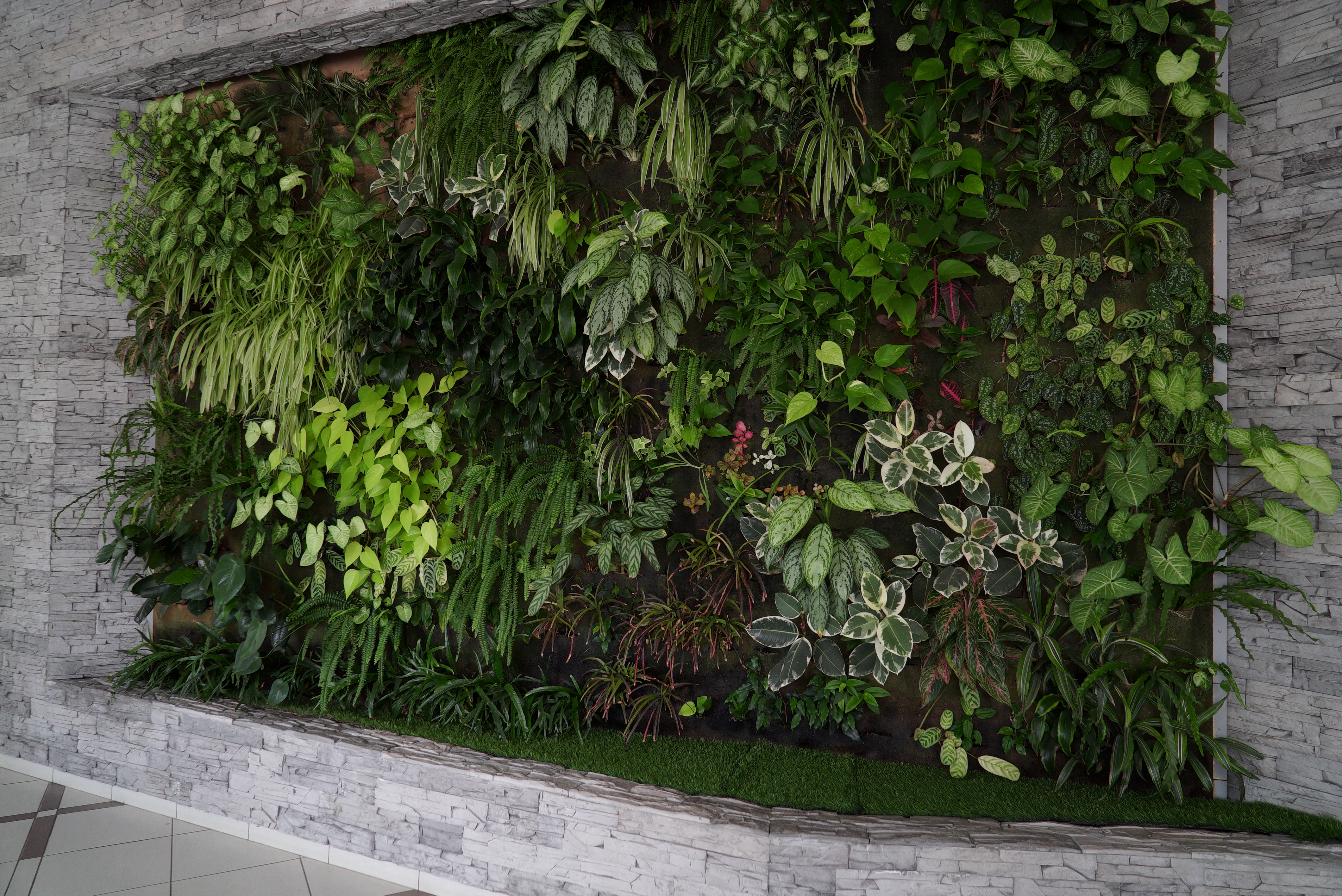 Фото Шахтер